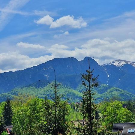 Vila Domki Mroz Zakopane Exteriér fotografie