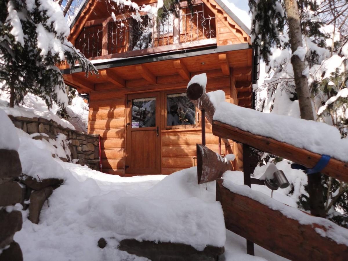Domki Mroz Zakopane Exteriér fotografie