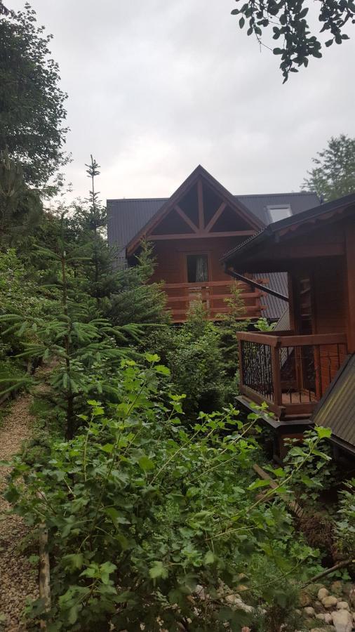 Domki Mroz Zakopane Exteriér fotografie