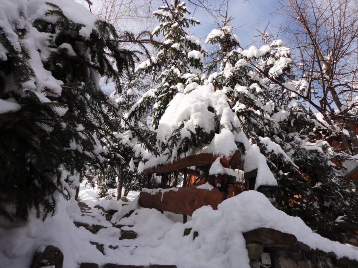 Domki Mroz Zakopane Exteriér fotografie
