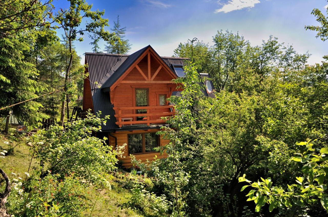 Domki Mroz Zakopane Exteriér fotografie