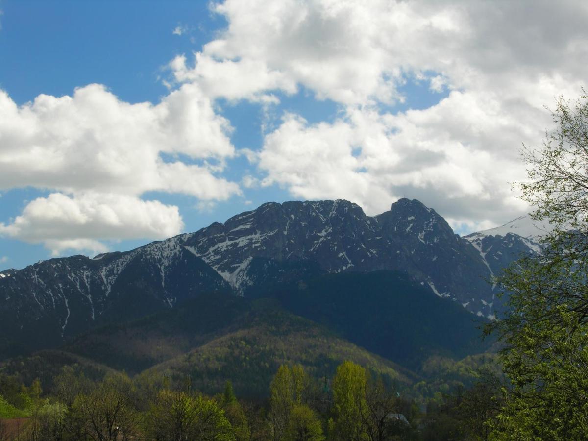 Vila Domki Mroz Zakopane Exteriér fotografie