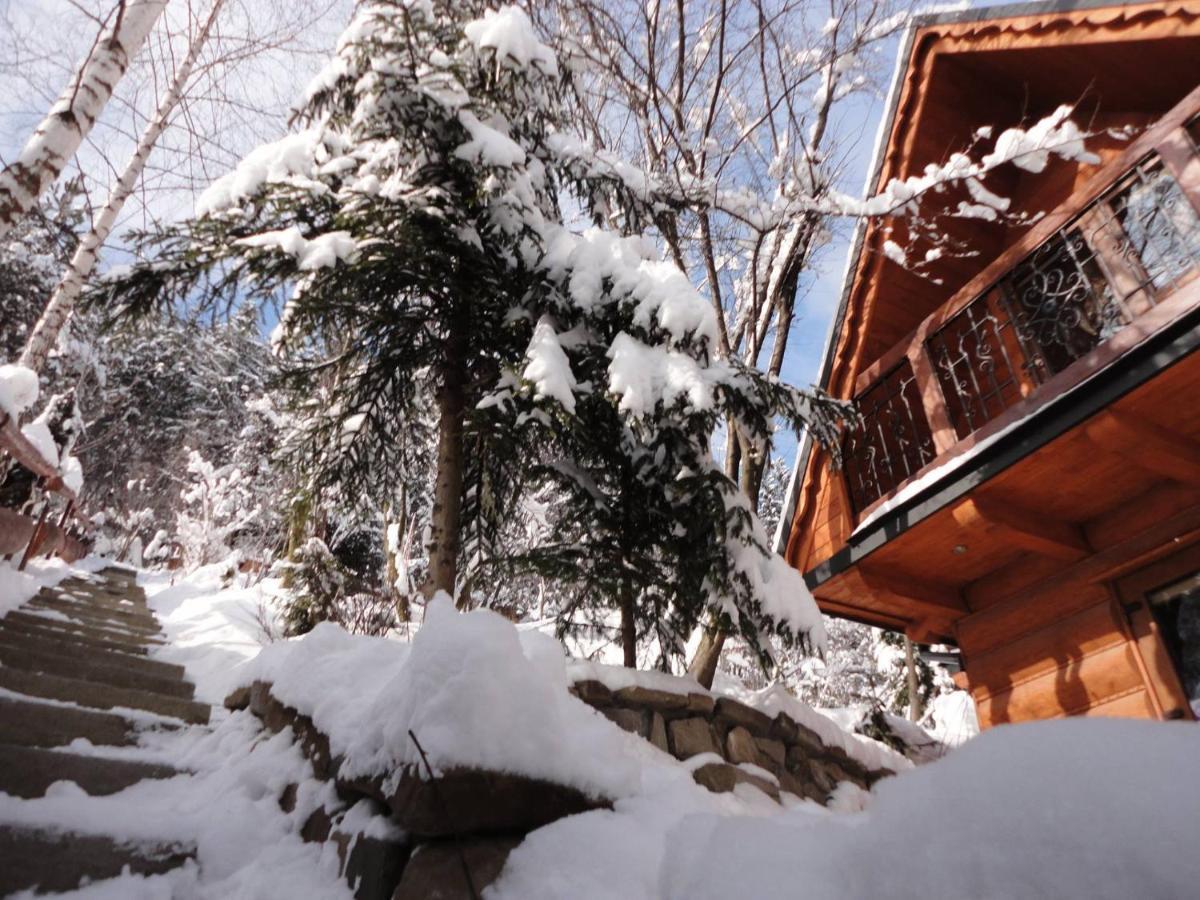 Vila Domki Mroz Zakopane Exteriér fotografie