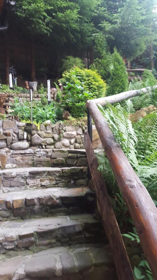 Domki Mroz Zakopane Exteriér fotografie