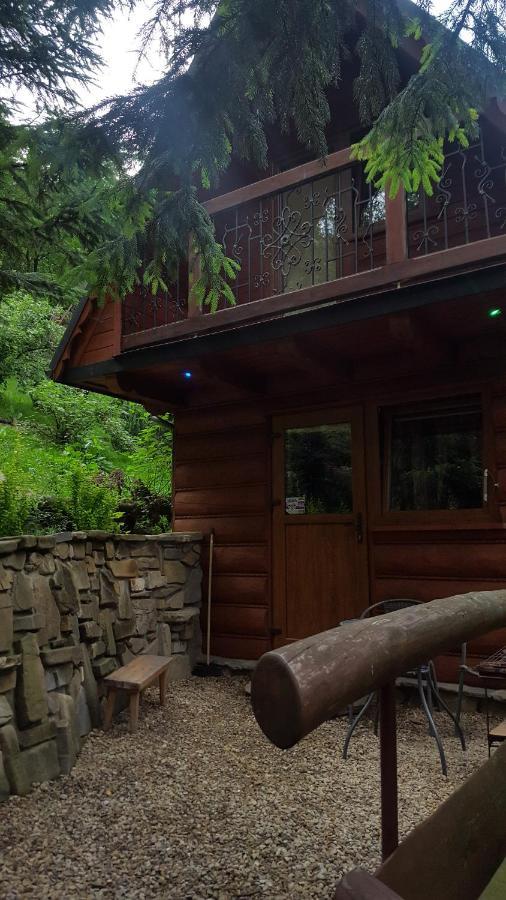 Domki Mroz Zakopane Exteriér fotografie