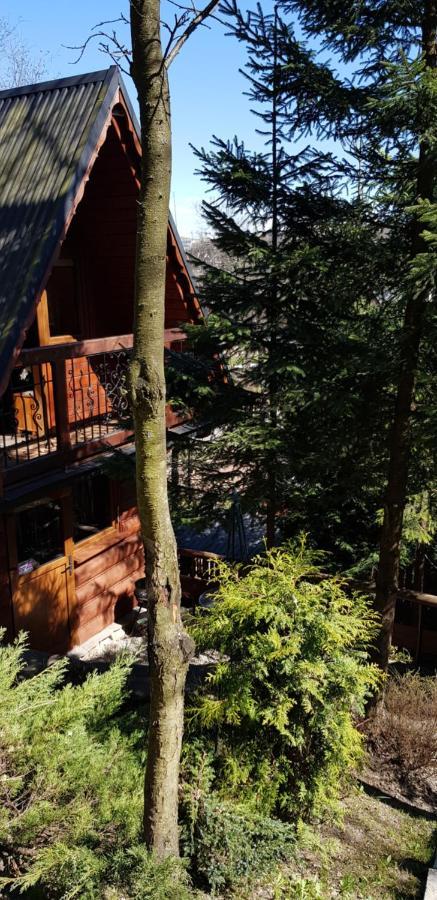 Domki Mroz Zakopane Exteriér fotografie