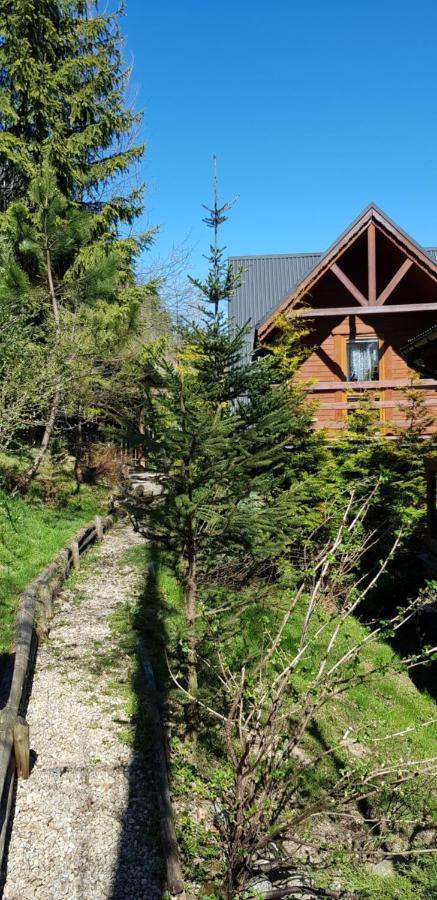 Domki Mroz Zakopane Exteriér fotografie