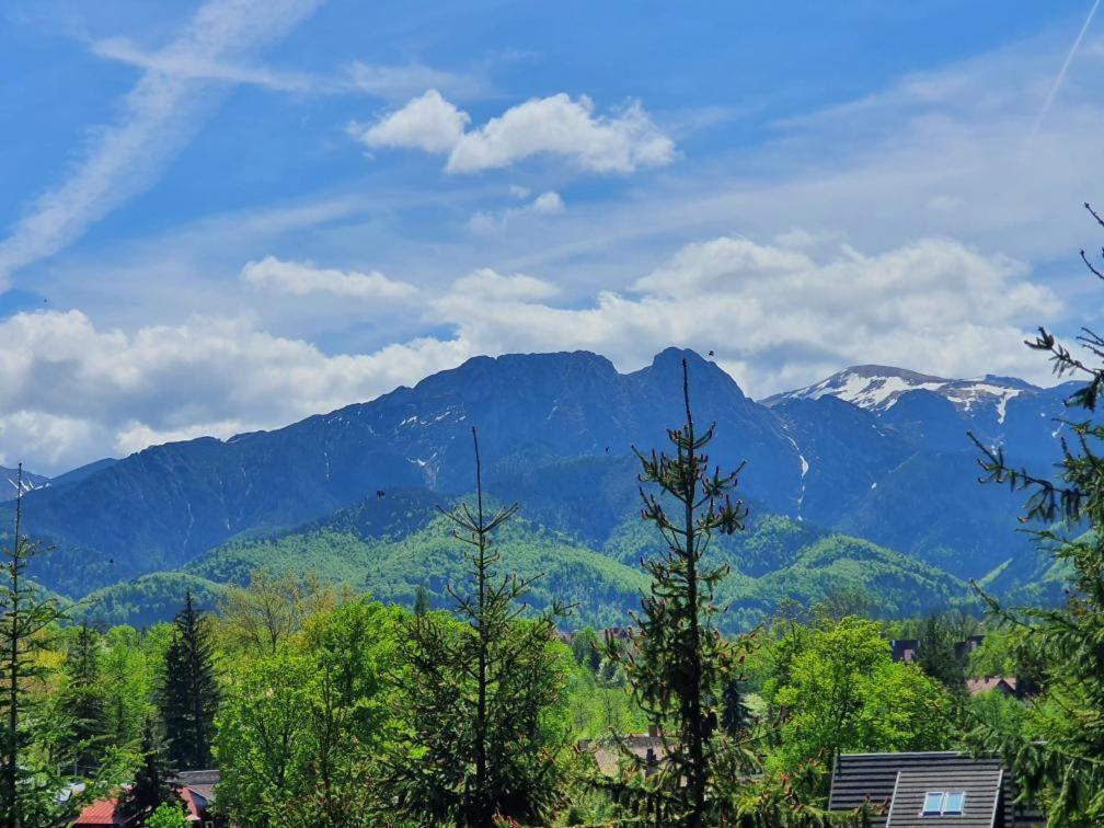 Vila Domki Mroz Zakopane Exteriér fotografie